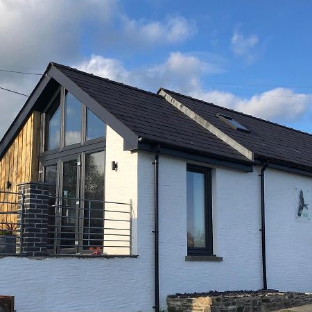 Red Kite Cottage Carmarthen Exterior photo